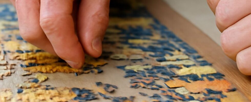 Completed jigsaw puzzle beside sorted pieces and a reference image