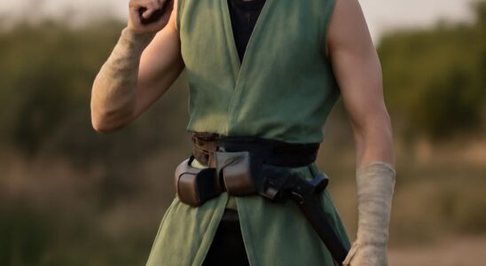 A wood elf trained as a monk uses speed and martial arts to protect an adventuring party.