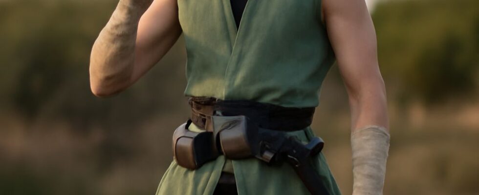 A wood elf trained as a monk uses speed and martial arts to protect an adventuring party.